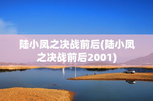 陆小凤之决战前后(陆小凤之决战前后2001)