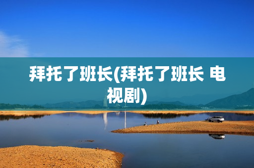 拜托了班长(拜托了班长 电视剧)