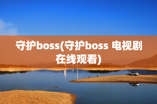守护boss(守护boss 电视剧在线观看)