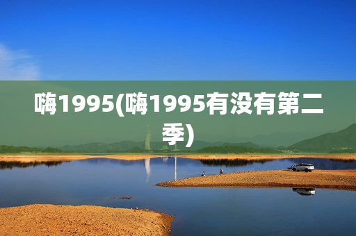 嗨1995(嗨1995有没有第二季)