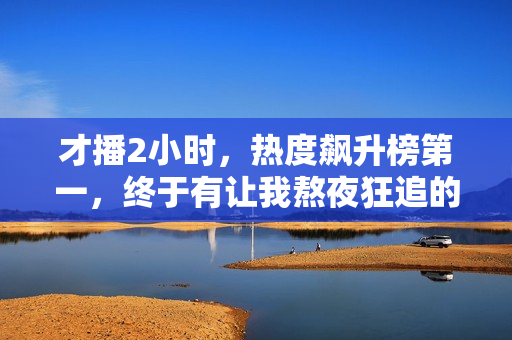 才播2小时，热度飙升榜第一，终于有让我熬夜狂追的历史剧了