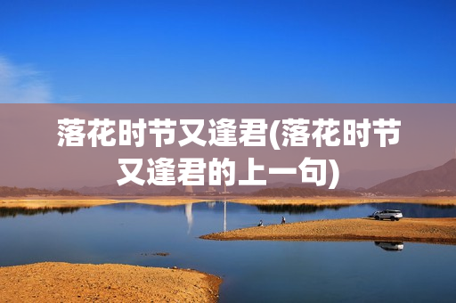 落花时节又逢君(落花时节又逢君的上一句)