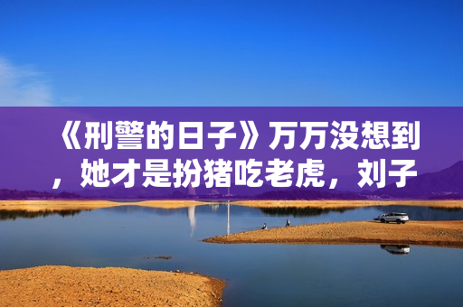 《刑警的日子》万万没想到，她才是扮猪吃老虎，刘子晴清醒了