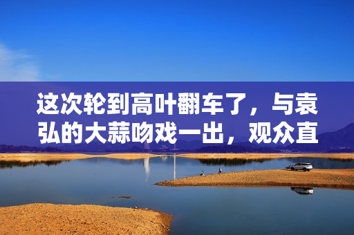 这次轮到高叶翻车了，与袁弘的大蒜吻戏一出，观众直呼辣眼睛