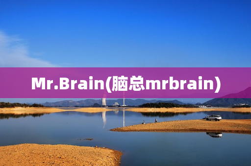 Mr.Brain(脑总mrbrain)