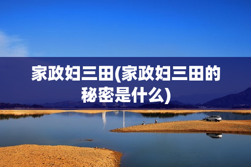家政妇三田(家政妇三田的秘密是什么)