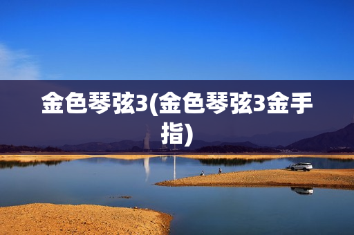 金色琴弦3(金色琴弦3金手指)