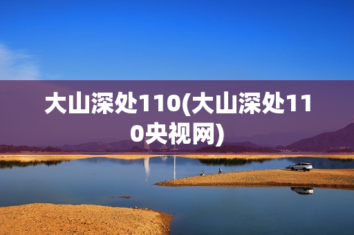 大山深处110(大山深处110央视网)