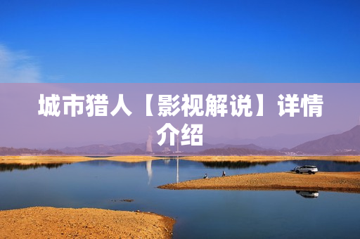 城市猎人【影视解说】详情介绍