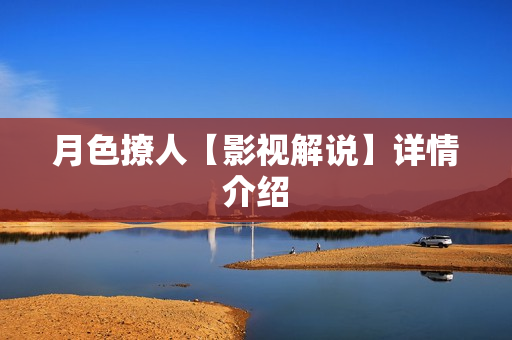 月色撩人【影视解说】详情介绍