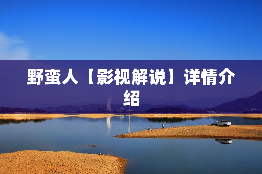 野蛮人【影视解说】详情介绍