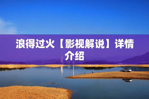 浪得过火【影视解说】详情介绍