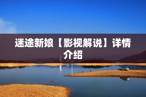 迷途新娘【影视解说】详情介绍