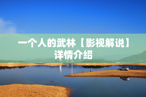 一个人的武林【影视解说】详情介绍