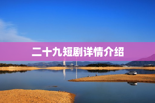 二十九短剧详情介绍