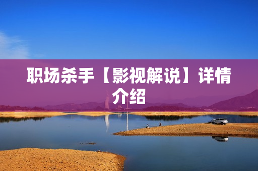 职场杀手【影视解说】详情介绍