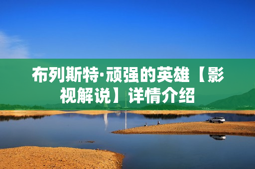 布列斯特·顽强的英雄【影视解说】详情介绍