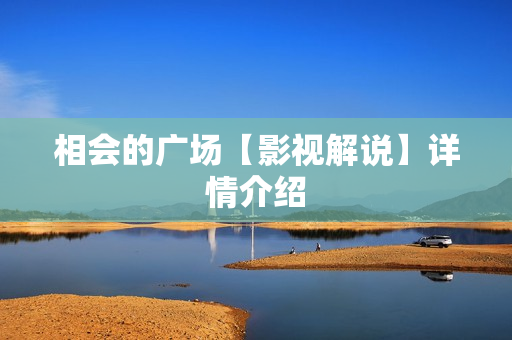 相会的广场【影视解说】详情介绍