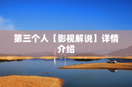 第三个人【影视解说】详情介绍