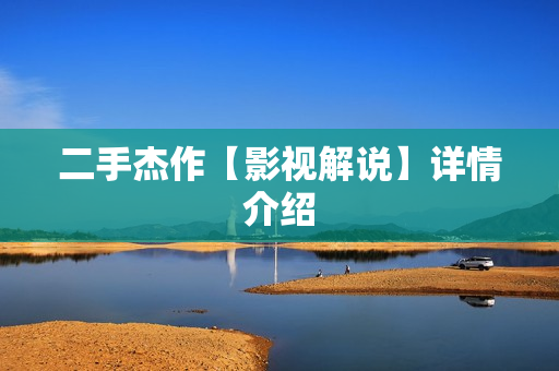 二手杰作【影视解说】详情介绍