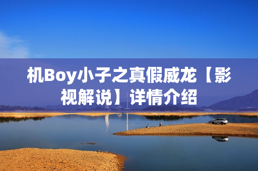 机Boy小子之真假威龙【影视解说】详情介绍
