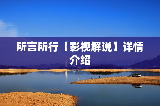 所言所行【影视解说】详情介绍