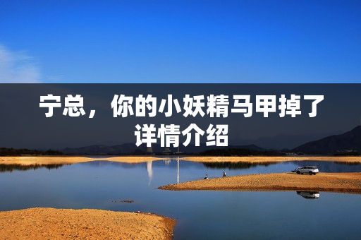 宁总，你的小妖精马甲掉了详情介绍