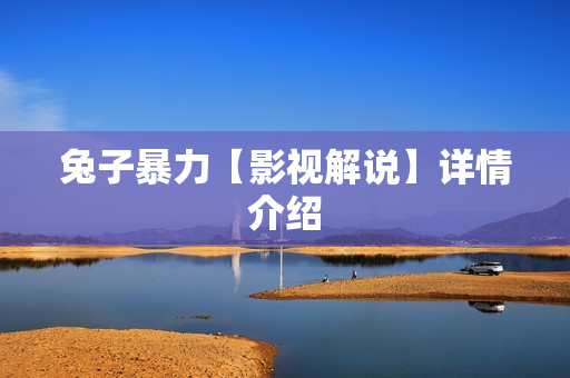 兔子暴力【影视解说】详情介绍