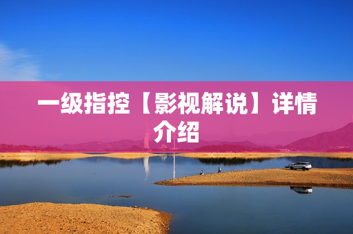 一级指控【影视解说】详情介绍