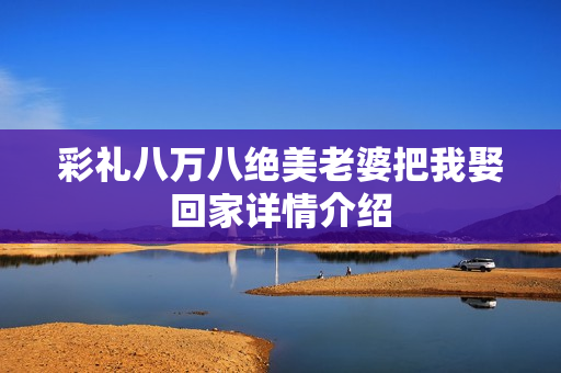 彩礼八万八绝美老婆把我娶回家详情介绍