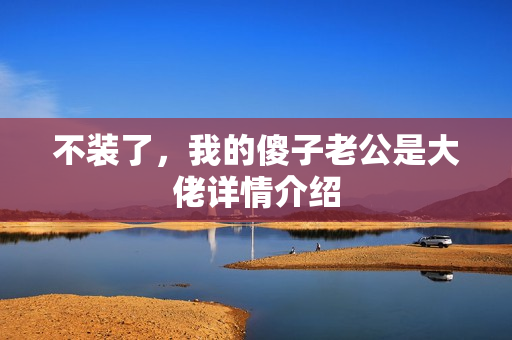 不装了，我的傻子老公是大佬详情介绍
