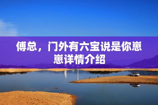 傅总，门外有六宝说是你崽崽详情介绍