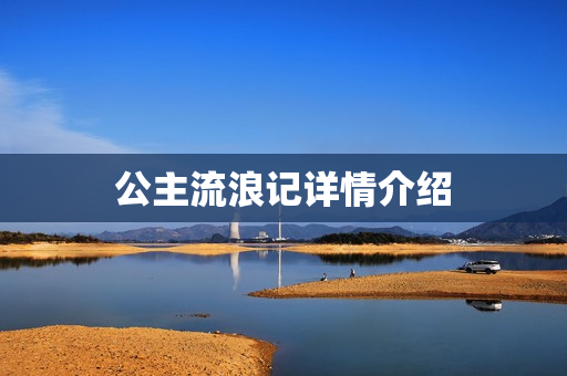 公主流浪记详情介绍