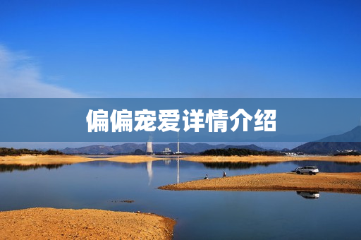 偏偏宠爱详情介绍