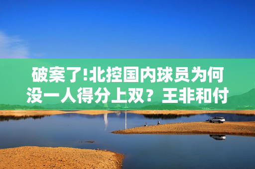 破案了!北控国内球员为何没一人得分上双？王非和付政浩道出原因