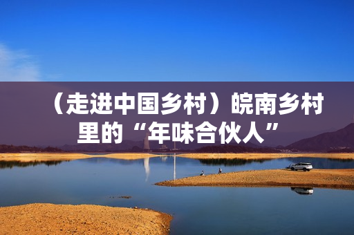 （走进中国乡村）皖南乡村里的“年味合伙人”