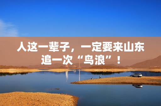 人这一辈子，一定要来山东追一次“鸟浪”！