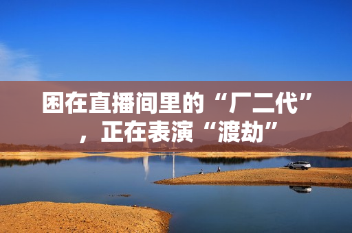 困在直播间里的“厂二代”，正在表演“渡劫”