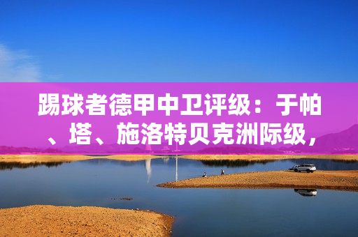 踢球者德甲中卫评级：于帕、塔、施洛特贝克洲际级，金玟哉国脚级