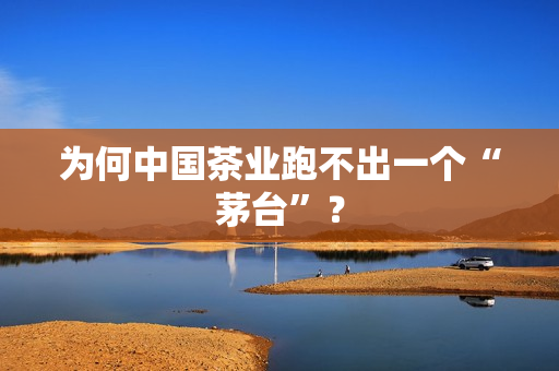 为何中国茶业跑不出一个“茅台”？
