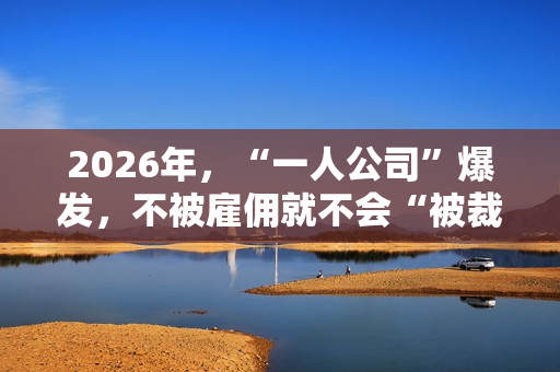 2026年，“一人公司”爆发，不被雇佣就不会“被裁”
