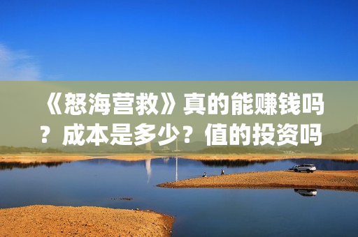 《怒海营救》真的能赚钱吗？成本是多少？值的投资吗？(怒海营救什么时候开机)