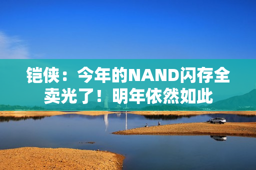 铠侠：今年的NAND闪存全卖光了！明年依然如此