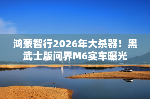 鸿蒙智行2026年大杀器！黑武士版问界M6实车曝光