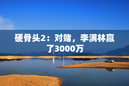 硬骨头2：对赌，李满林赢了3000万