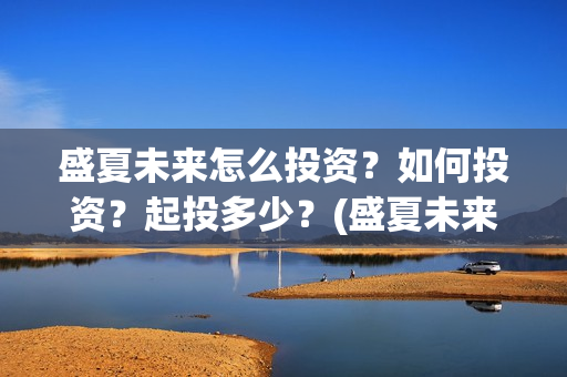 盛夏未来怎么投资？如何投资？起投多少？(盛夏未来怎么过审的)