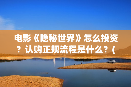 电影《隐秘世界》怎么投资？认购正规流程是什么？(隐秘世界电视剧)