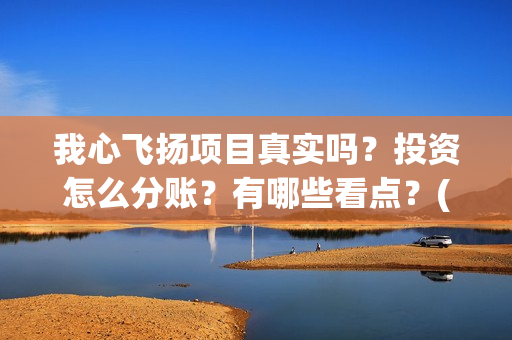 我心飞扬项目真实吗？投资怎么分账？有哪些看点？(我心飞扬成本)