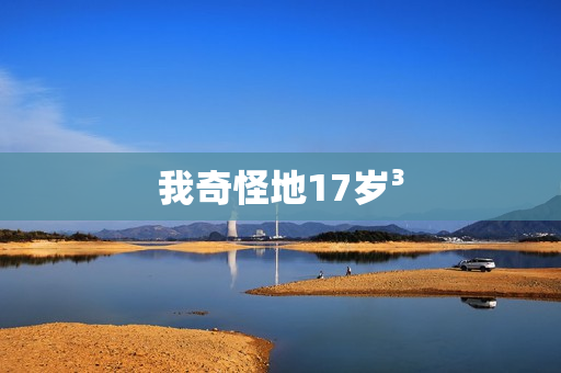 我奇怪地17岁³