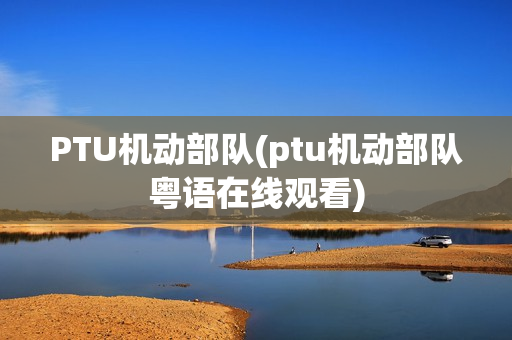 PTU机动部队(ptu机动部队粤语在线观看)